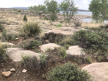 rocks and shrubs with the shoreline of Conchas Lake in the upper right area of the image.